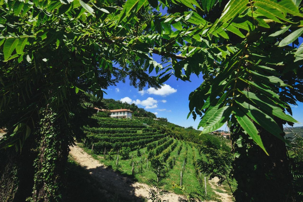 Апартаменты Cascina Flino Диано-д'Альба Экстерьер фото